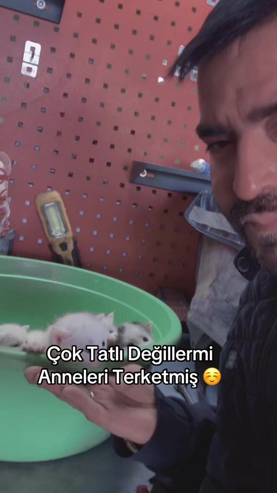 TikTok video thumbnail by karamsarsair.resmi
