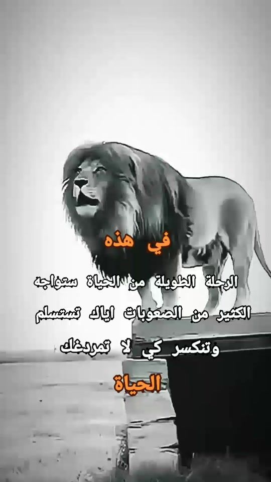 TikTok video thumbnail by dyn68kf45