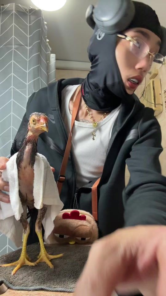 TikTok video thumbnail by tsc_8283