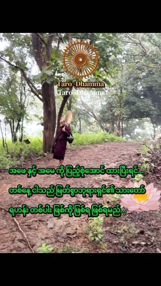TikTok video thumbnail by tarodhamma1