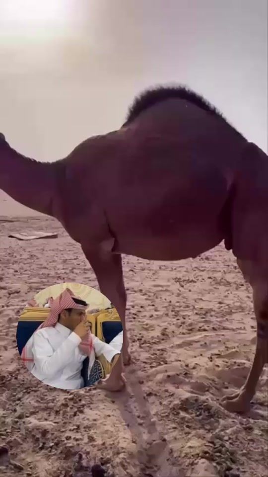 TikTok video thumbnail by kng.sahl