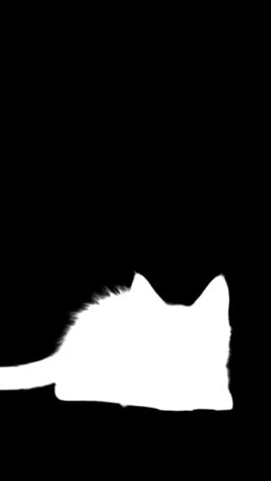 TikTok video thumbnail by vannaytx