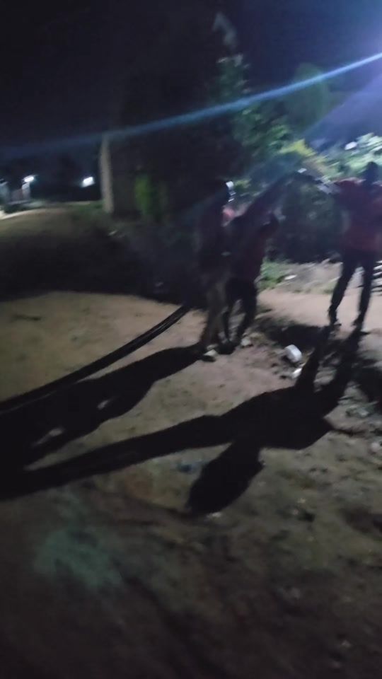 TikTok video thumbnail by engineerkent0706701221