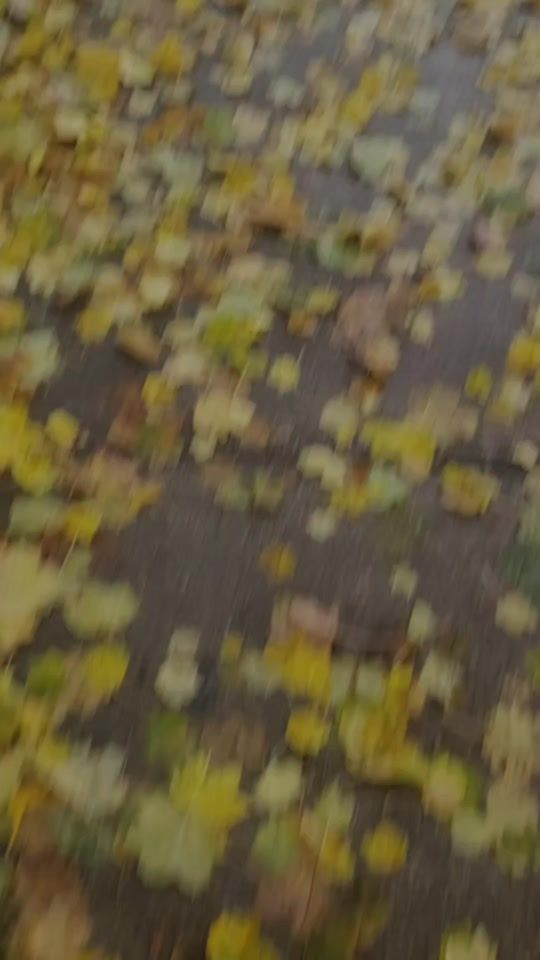 TikTok video thumbnail by pennymomof4
