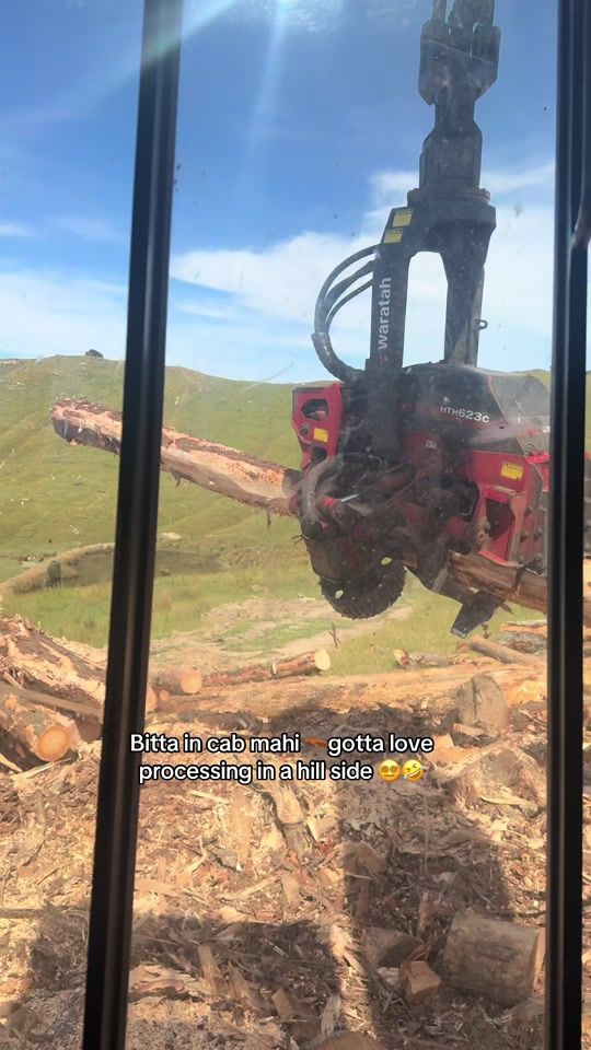 TikTok video thumbnail by nzsendit
