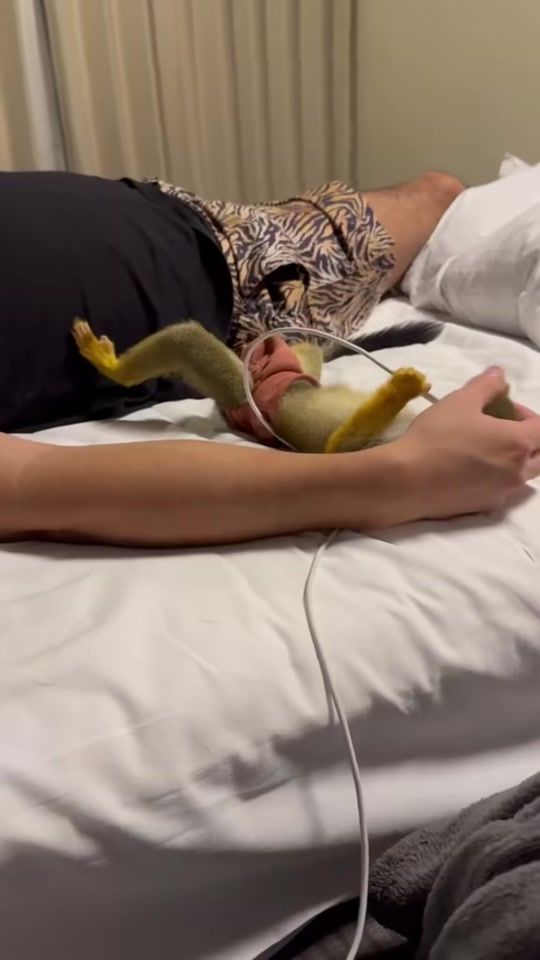 TikTok video thumbnail by monkey.pipi