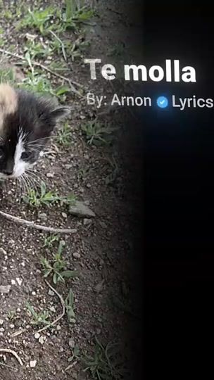 TikTok video thumbnail by anja620349