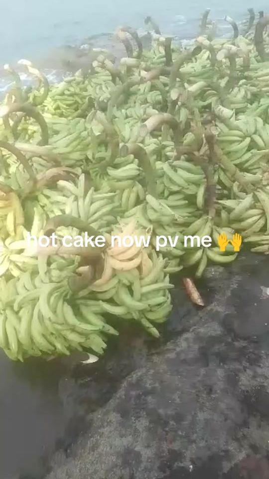 TikTok video thumbnail by mankaakellybright