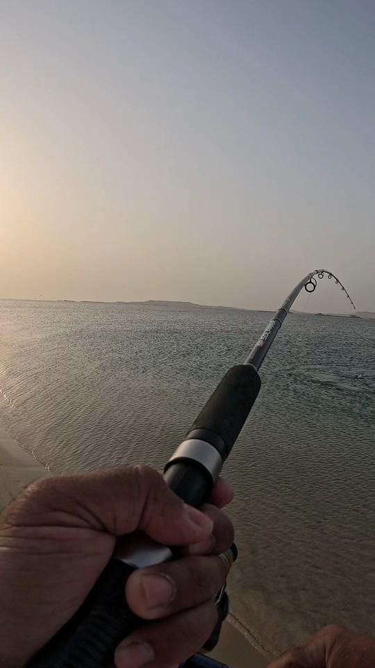 TikTok video thumbnail by fishing_rover