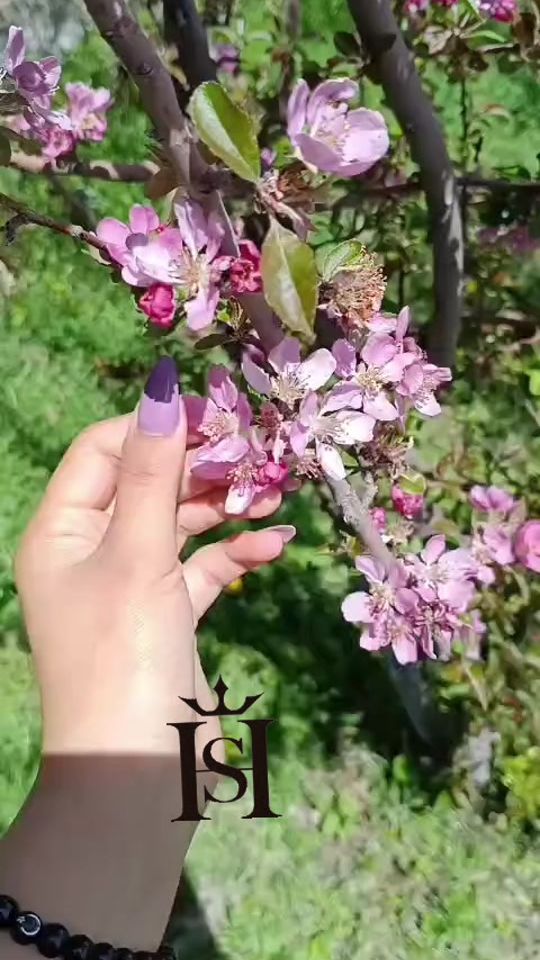 TikTok video thumbnail by aliyeffa05.05