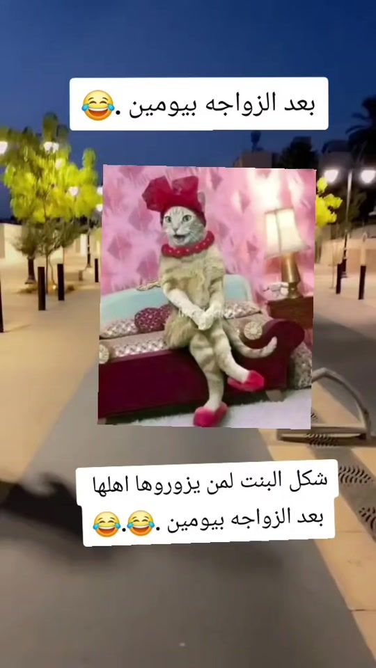 TikTok video thumbnail by a.m7049