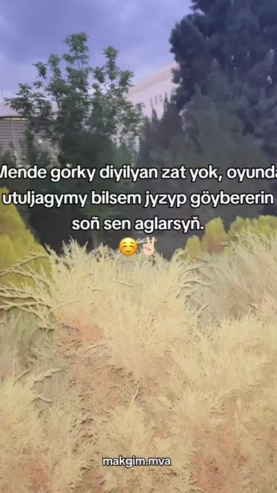 TikTok video thumbnail by makgim.mva