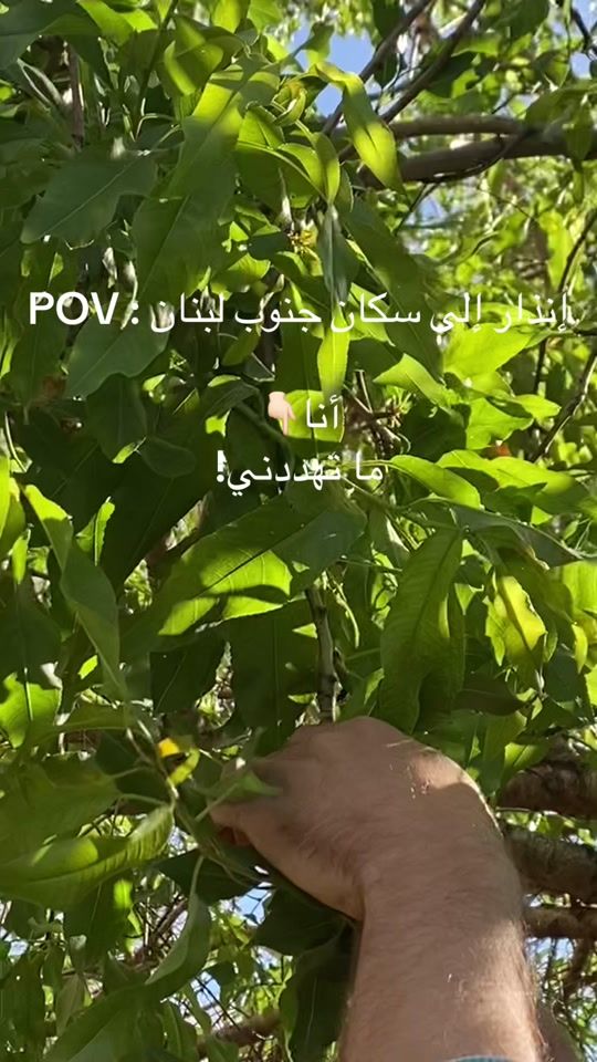 TikTok video thumbnail by jana_mshawrab