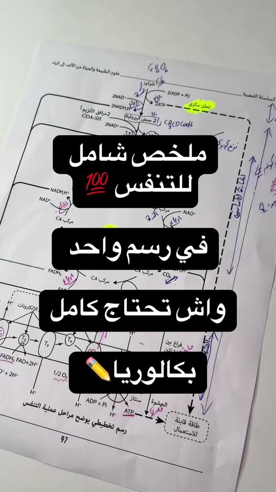 TikTok video thumbnail by prof_ketfi.cherif