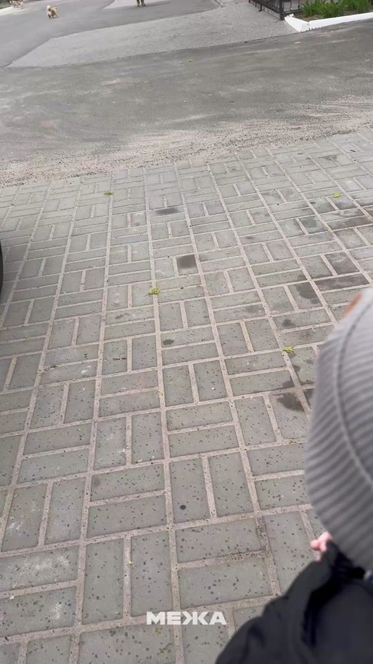 TikTok video thumbnail by mezha_net