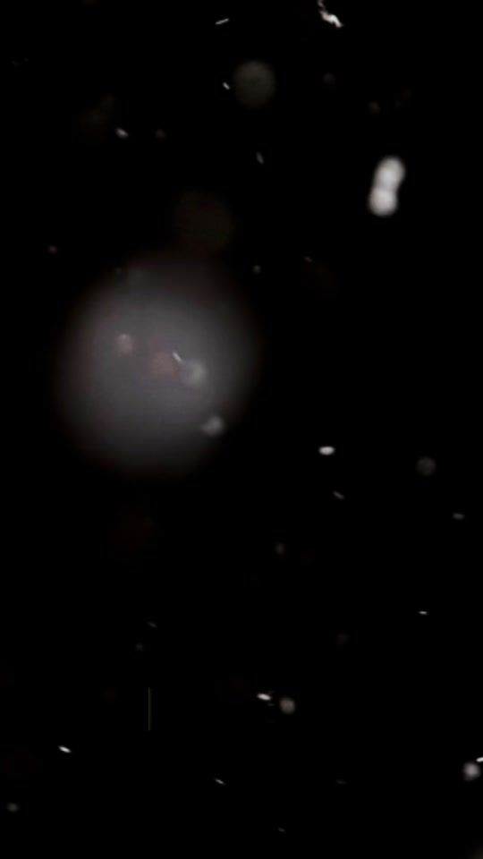 TikTok video thumbnail by _yihui