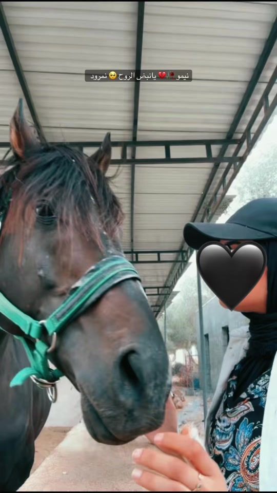 TikTok video thumbnail by noha.mohammed92