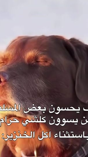 TikTok video thumbnail by rrrani1