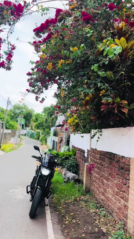 TikTok video thumbnail by kavi_036