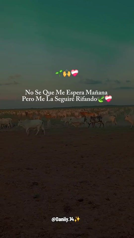TikTok video thumbnail by daniiy.14