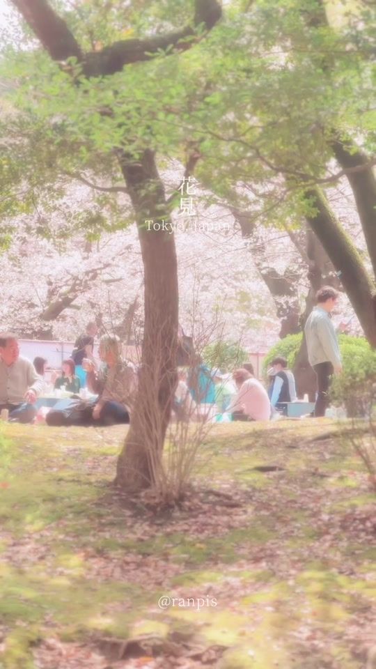 TikTok video thumbnail by _ranpis_