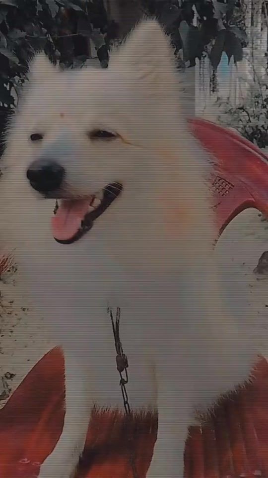 TikTok video thumbnail by chellaponnudanu14