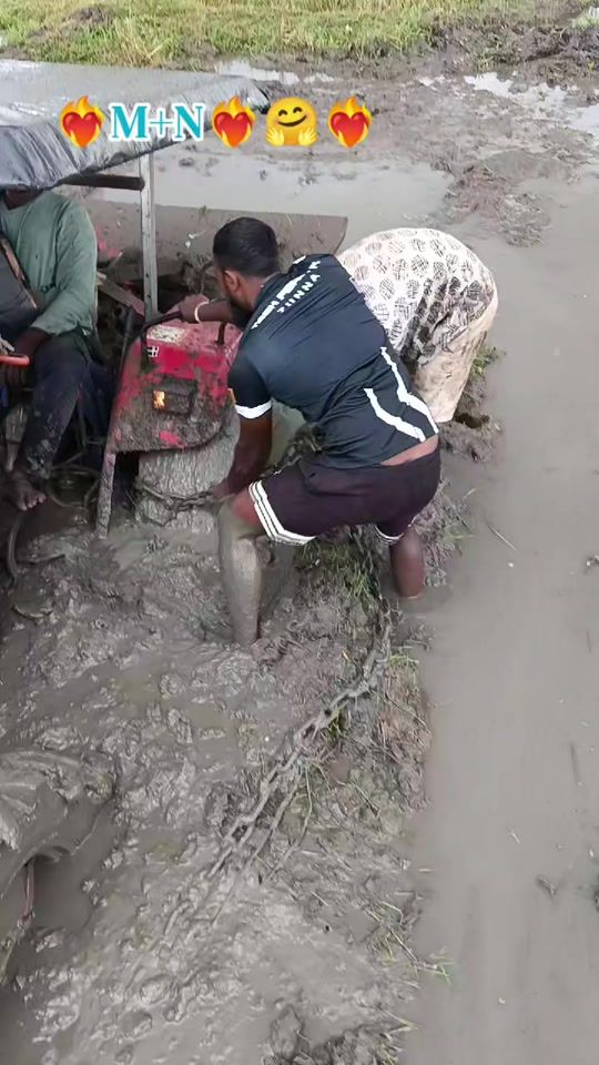 TikTok video thumbnail by madushanpuspakumar