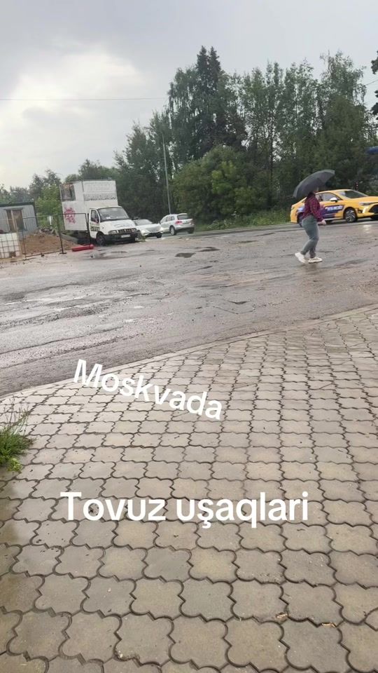 TikTok video thumbnail by gambar333