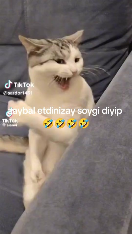 TikTok video thumbnail by k.i.n.g.087