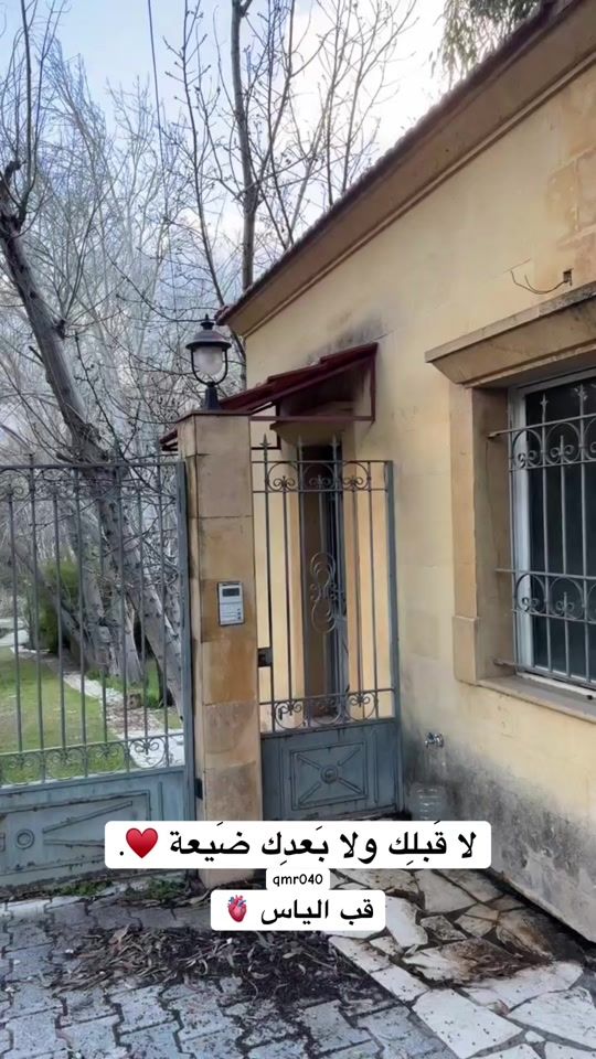 TikTok video thumbnail by qmr040