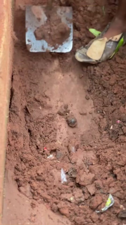 TikTok video thumbnail by sirjee_2funny_