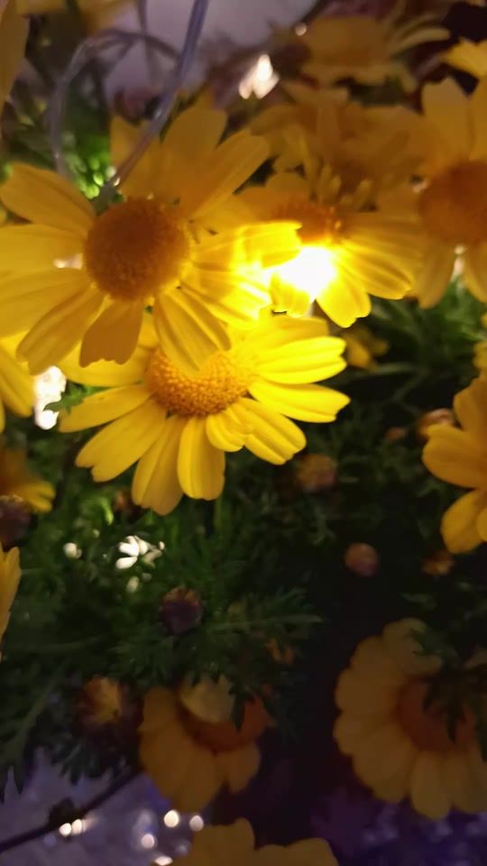 TikTok video thumbnail by maryam7kh