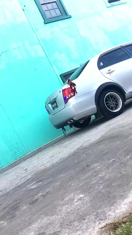 TikTok video thumbnail by jonathanmohitram7