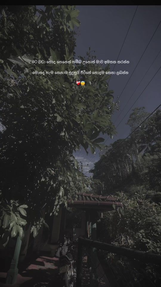TikTok video thumbnail by ash_page_