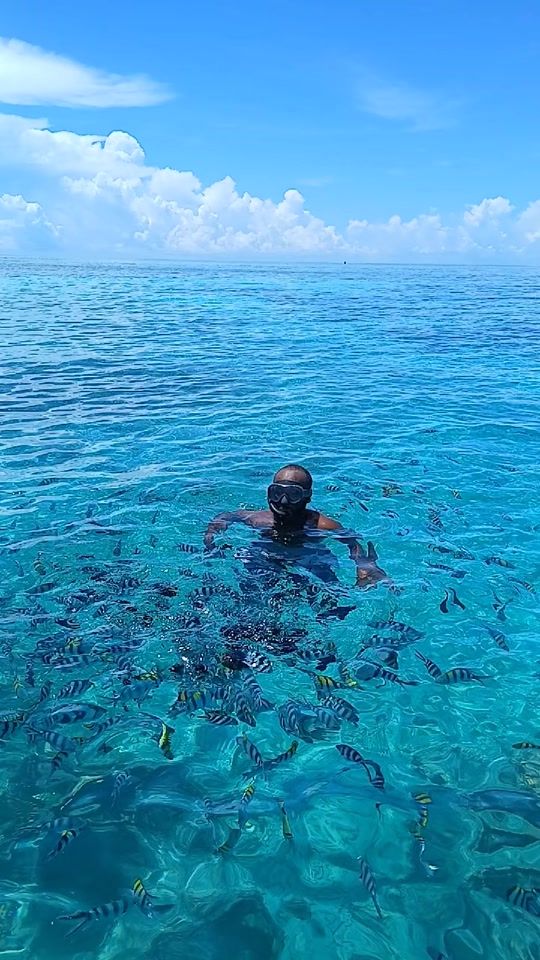 TikTok video thumbnail by kundi195