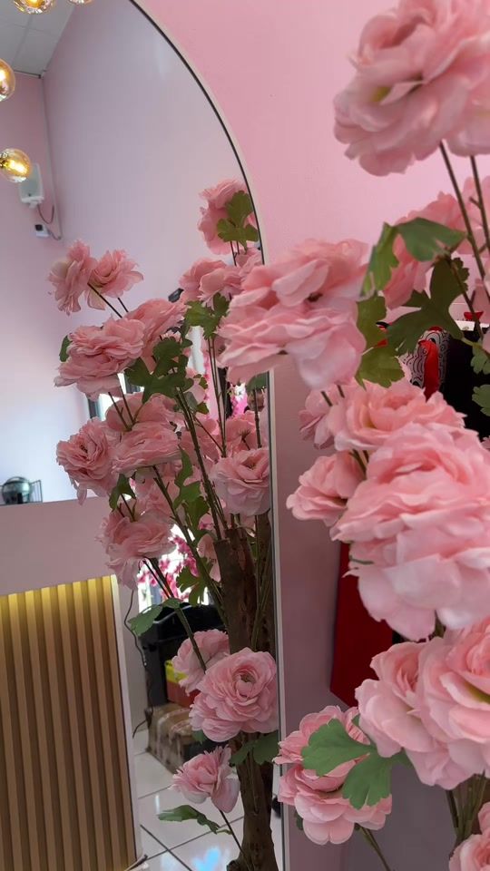 TikTok video thumbnail by maddisonhn504