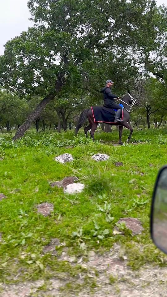 TikTok video thumbnail by khald_grefat