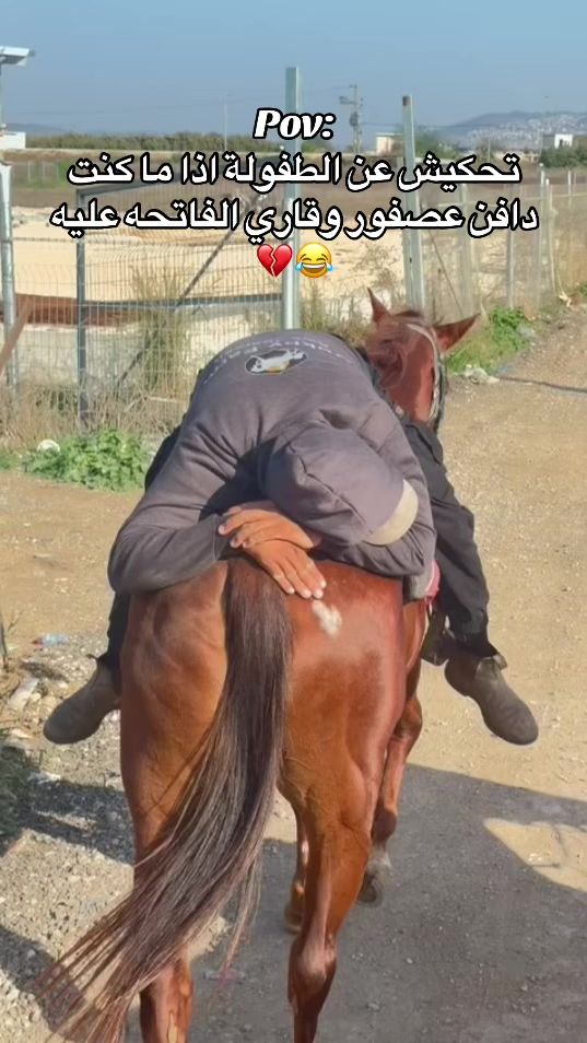 TikTok video thumbnail by ihabturkman
