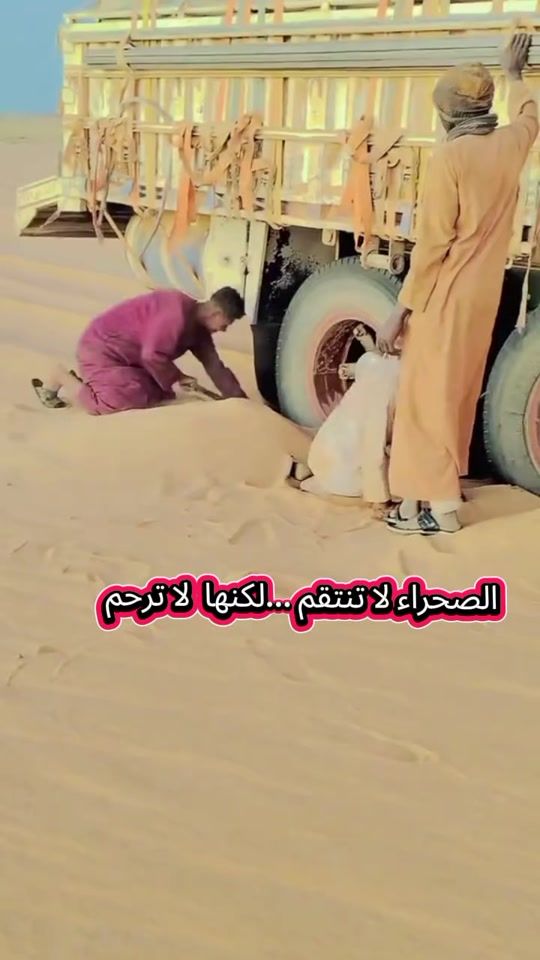 TikTok video thumbnail by user7260043735779