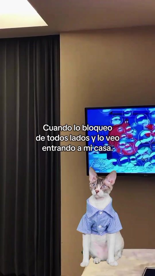 TikTok video thumbnail by queen_04_oficial