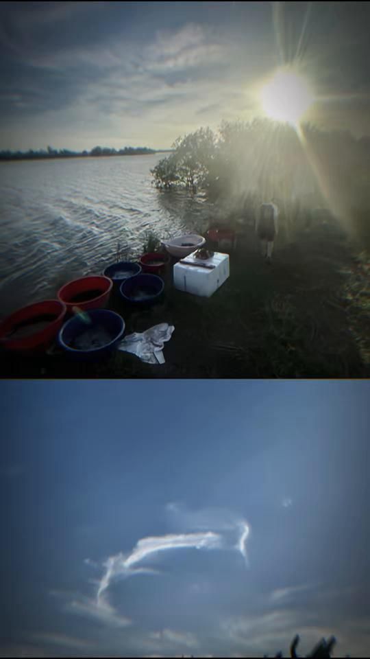TikTok video thumbnail by chiecquatdocauduong