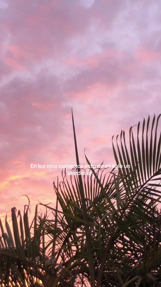 TikTok video thumbnail by sandra_sallo1