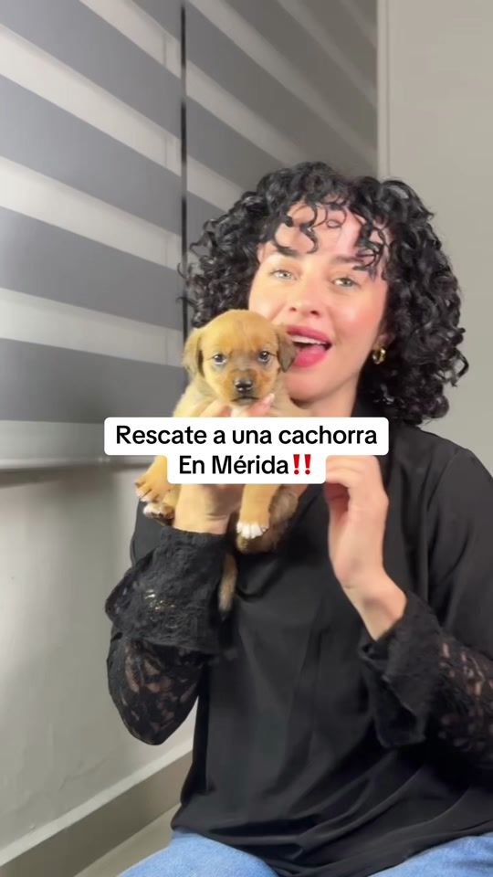 TikTok video thumbnail by tefaoropeza