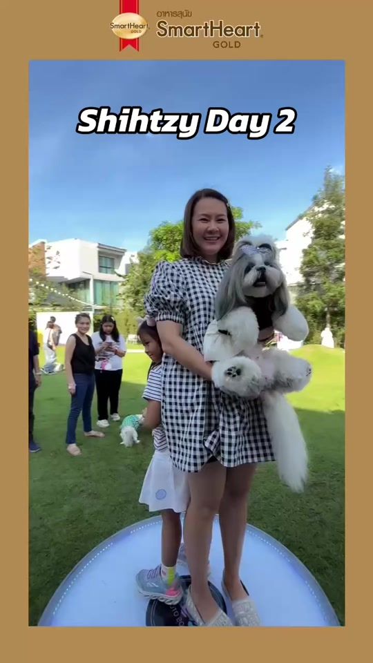 TikTok video thumbnail by deedyshihtzu