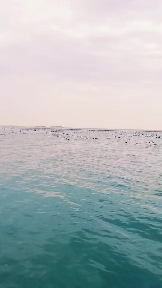 TikTok video thumbnail by nizzo_mkali