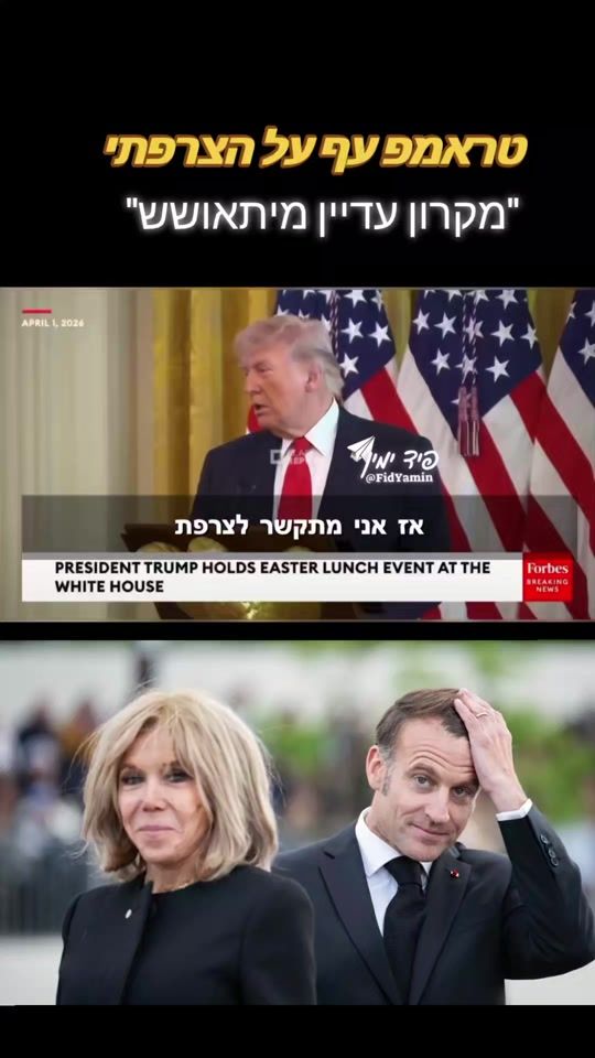 TikTok video thumbnail by golanzeevi