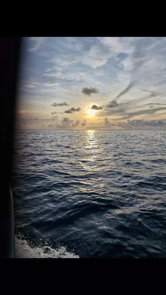 TikTok video thumbnail by faupalaeselone