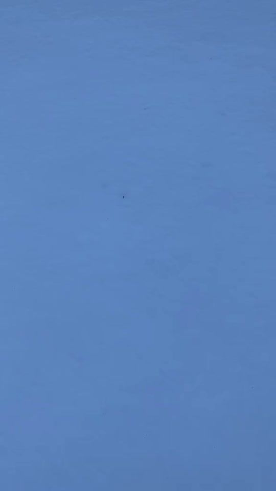 TikTok video thumbnail by norisan110