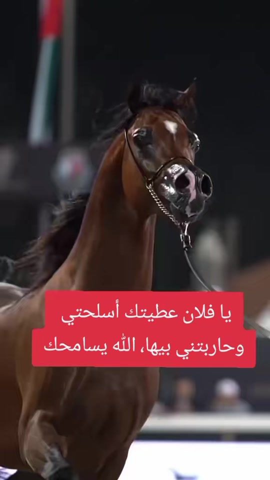 TikTok video thumbnail by ahmed______29