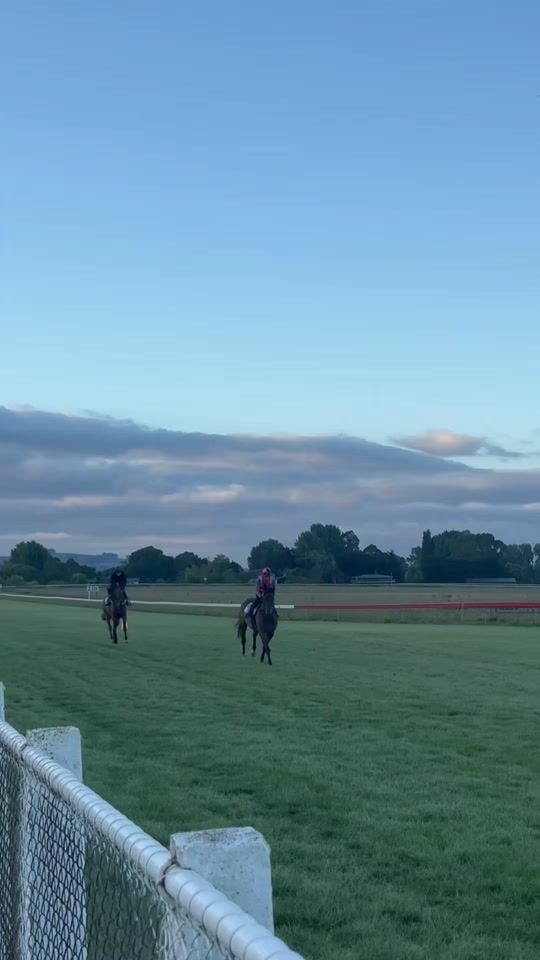TikTok video thumbnail by lily_iremonger_equine